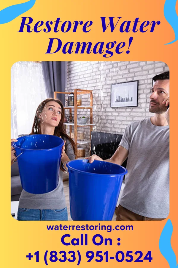 water restoration National Water Damage & Associates Arrow Point