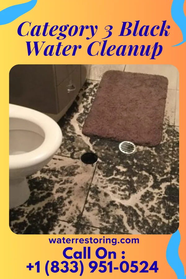 Category 3 Black Water Cleanup in Arrow Point, MO