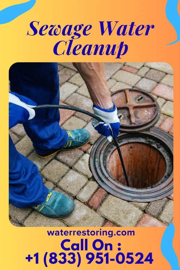 Sewage Water Cleanup in Arrow Point, MO